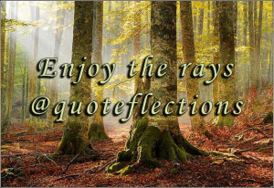 quoteflections.blogspo...quoteflections: A New Focus