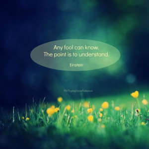 Pinned by Sue Fitzmaurice Author