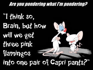 Pinky And The Brain Quotes