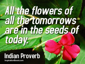Seeds-Quotes