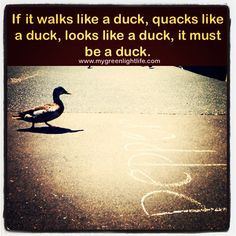 ... like a duck, quacks like a duck, looks like a duck, it must be a duck