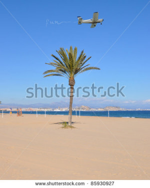 Airplane Flying over Palm Tree Writing Fun in the Sky on Mediterranean ...