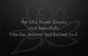 The lotus flower blooms most beautifully from the deepest and thickest ...