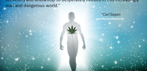 Marijuana Quotes Screenshots
