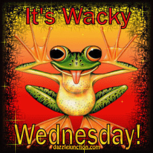 wednesday-frog.gif#wednesday%20400x400