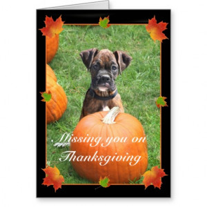 missing_you_on_thanksgiving_boxer_greeting_card ...
