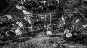 Lane Frost Bull Riding Quotes