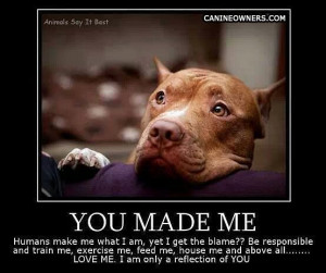 Pit Bulls are not Born Mean - http://canineowners.com/puppy-care/gotti ...