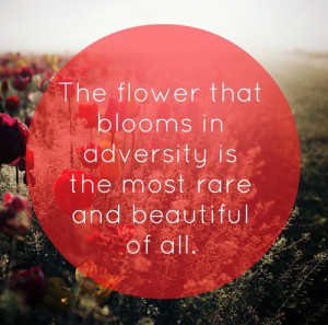 The Flower That Blooms In Adversity Is The Most Rare And Beautiful of ...