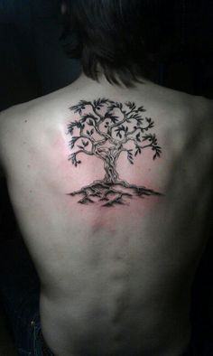 ... Australia. tree tattoos, oliv tree, tattoo design, olive tree tattoo