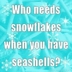 Snowflakes & Seashells Dust Jackets, Beach Quotes, Beachy Christmas ...