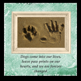 Paw Prints Pet Sympathy Card
