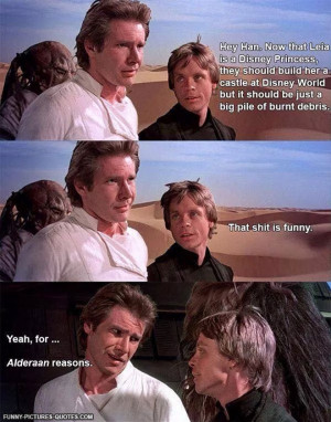 Han Solo Is A Pun Maestro | Funny Pictures and Quotes