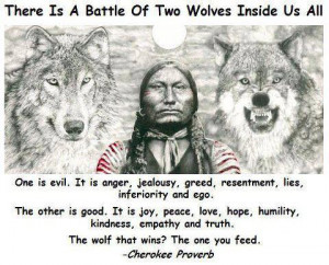 there is a battle of two wolfs inside us all one is evil it is anger ...