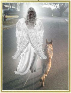 All Dogs who the Angels lead to Heaven via the Rainbow Bridge! ! More