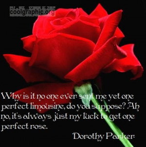 ... quotes/rose-quotes/my-luck-to-get-one-perfect-rose-flirty-rose-quote