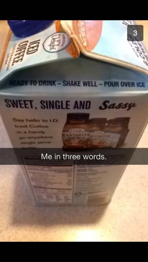 19 People Who Got REAL Sassy On Snapchat
