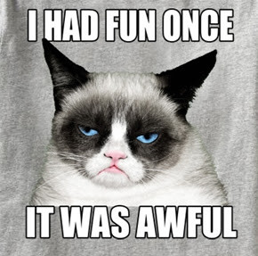 we re not sure why grumpy cat is so grumpy maybe