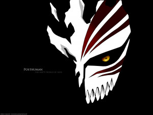 Bleach Anime hollow mask