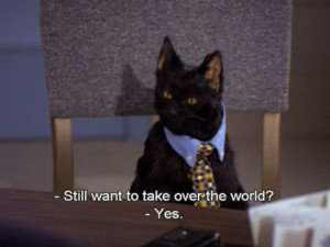 SALEM THE CAT FROM SABRINA THE TEENAGE WITCH .. 90'S