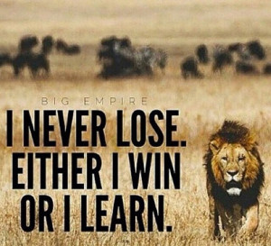 lion, lose, motivation, positive, quotes, sayings, staypositive, win ...