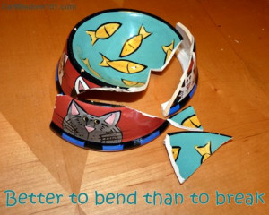 quote-better to bend than break-bows-cats-cat wisdom 101
