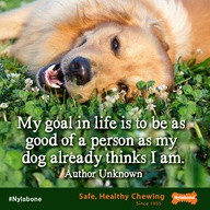 more quotes pictures under goal quotes html code for picture