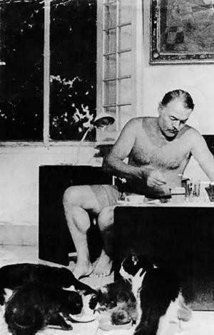 Hemingway's cats
