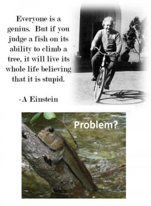 funny albert einstein quote fish climbing tree Funny Quotes: Everyone ...