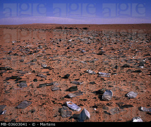 sahara desert landscape