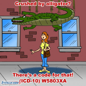 ... Medical Fields, Funnies Cartoon, Medical Codes, Medical Coder, Medical