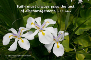 Faith must always pass the test of discouragement. ~ T.D. Jakes