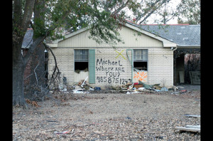 Hurricane Katrina Quotes