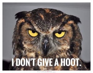 Leave Me Alone Quotes I Dont Care Quotes Owl Quotes
