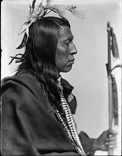 Chief Flying Hawk, Oglala Lakota , Gertrude Kasebier , 1898, Library ...