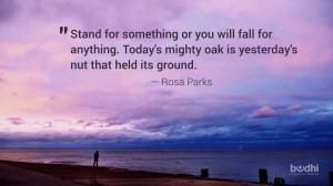 Wednesday Wisdom: Rosa Parks On Standing For Something