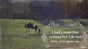 Horse Quotes Death Image