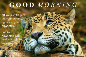 Td Jakes Quotes Inspirational quotes from gem