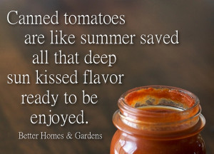 25 Famous Cool Summer Quotes