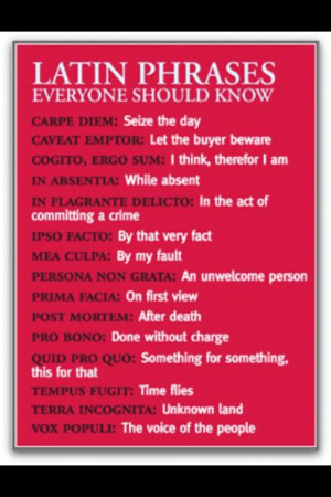 Art Quotes Latin About Love...