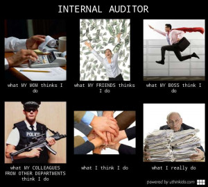 internal auditor what people think i do what i really do