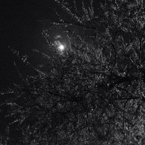 100happydays - Sedersi a rilassarsi, in silenzio, sotto una luna ...