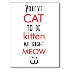 For that certain family member who is sworn to be a future cat lady.