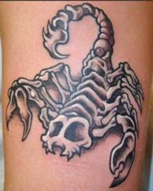 Scorpion tattoos, scorpion tattoo pictures, scorpion tattoos designs
