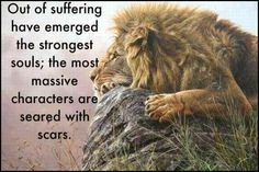 Out of Suffering quotes positive quotes animals quote strong lion ...