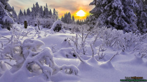 Christmas Winter Wallpaper Good Morning Quote