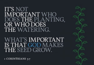 God makes the seed grow :)