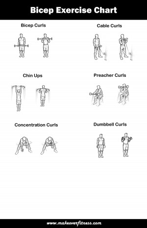 Displaying 20> Images For - Men Tricep Workout Chart...