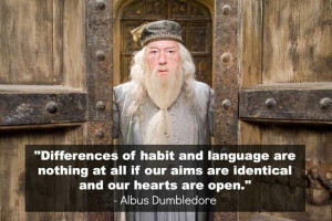 Albus Dumbledore quote from Goblet of Fire.