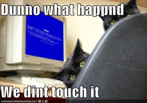 cats : funny-pictures-cats-computer-blue-screen-death